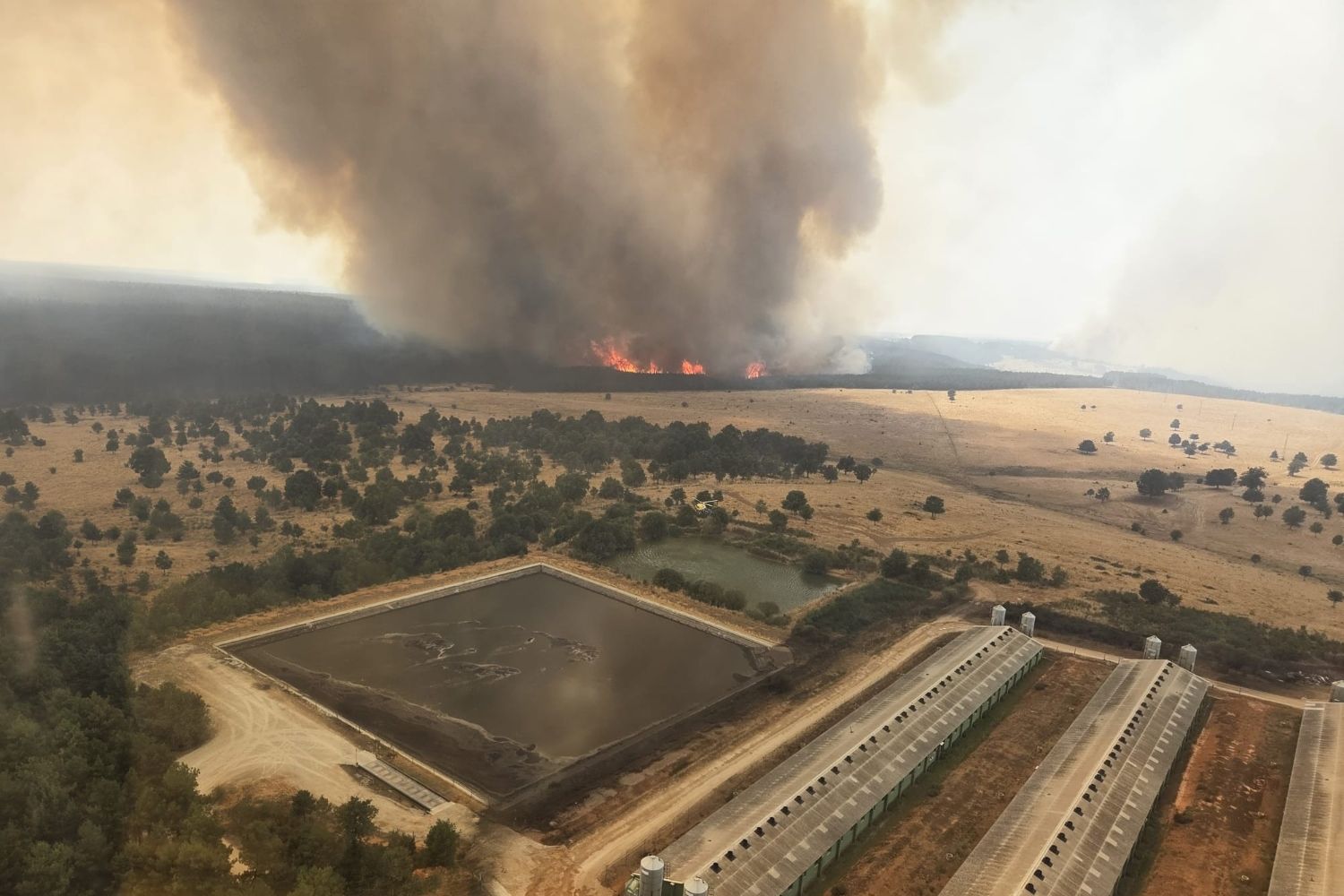 “Nos comía el fuego y no se quemaron las casas de purísimo milagro”, afirma un vecino de Canalejas | BRIF La Iglesuela