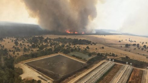 “Nos comía el fuego y no se quemaron las casas de purísimo milagro”, afirma un vecino de Canalejas | BRIF La Iglesuela