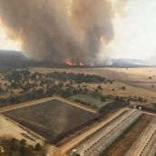 “Nos comía el fuego y no se quemaron las casas de purísimo milagro”, afirma un vecino de Canalejas | BRIF La Iglesuela
