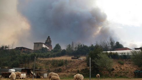 Incendio Forestal en la localidad de Canalejas, en Almanza | Peio García / ICAL 