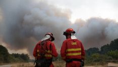 Desciende a Nivel 1 el incendio forestal de Canalejas, en Almanza | Peio García / ICAL 