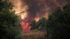 Incendio Forestal en la localidad de Canalejas, en Almanza | Peio García / ICAL 