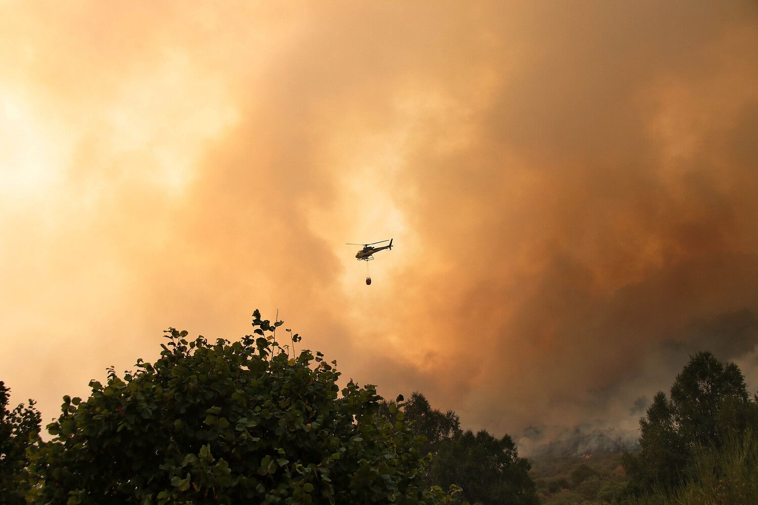 Incendio forestal en Fasgar, en el municipio de Murias de Paredes | Peio García / ICAL 