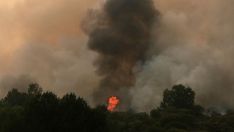 El incendio de Canalejas mantiene suspendido el servicio de Feve entre Puente Almuhey (León)-Guardo (Palencia) | Peio García / ICAL El incendio de Canalejas mantiene suspendido el servicio de Feve entre Puente Almuhey (León)-Guardo (Palencia) | Peio García / ICAL