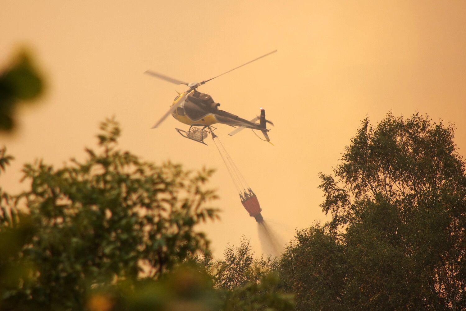 Incendio forestal en la localidad de Fasgar, en Murias de Paredes | Peio García / ICAL 