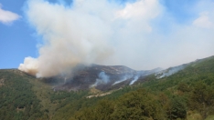 El incendio de Barniedo de la Reina mejora en los Picos de Europa, pero obliga a las brigadas a replegarse al flanco sur | AT BRIF
