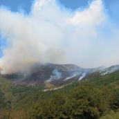 El incendio de Barniedo de la Reina mejora en los Picos de Europa, pero obliga a las brigadas a replegarse al flanco sur | AT BRIF