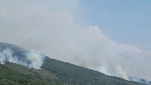 El incendio de Barniedo de la Reina sigue preocupando mientras el resto evolucionan de manera "favorable" | AT BRIF