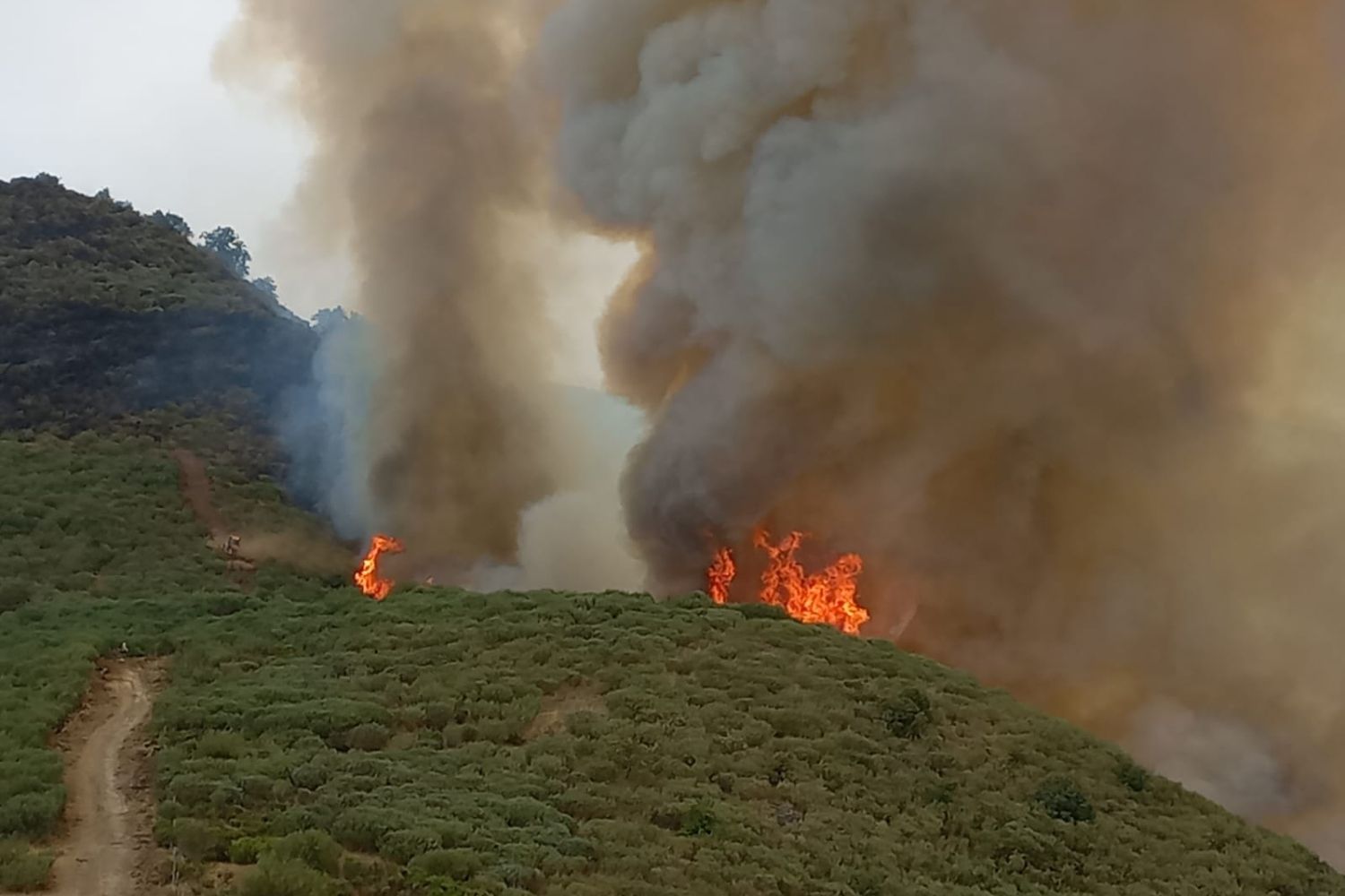 Confian en que los vecinos de Valverde de la Sierra desalojados por el incendio de Barniedo de la Reina puedan volver a sus casas “esta noche o mañana” | AT BRiF