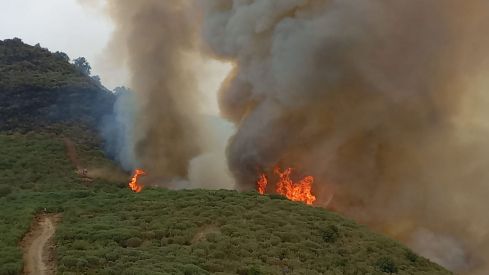 Confian en que los vecinos de Valverde de la Sierra desalojados por el incendio de Barniedo de la Reina puedan volver a sus casas “esta noche o mañana” | AT BRiF
