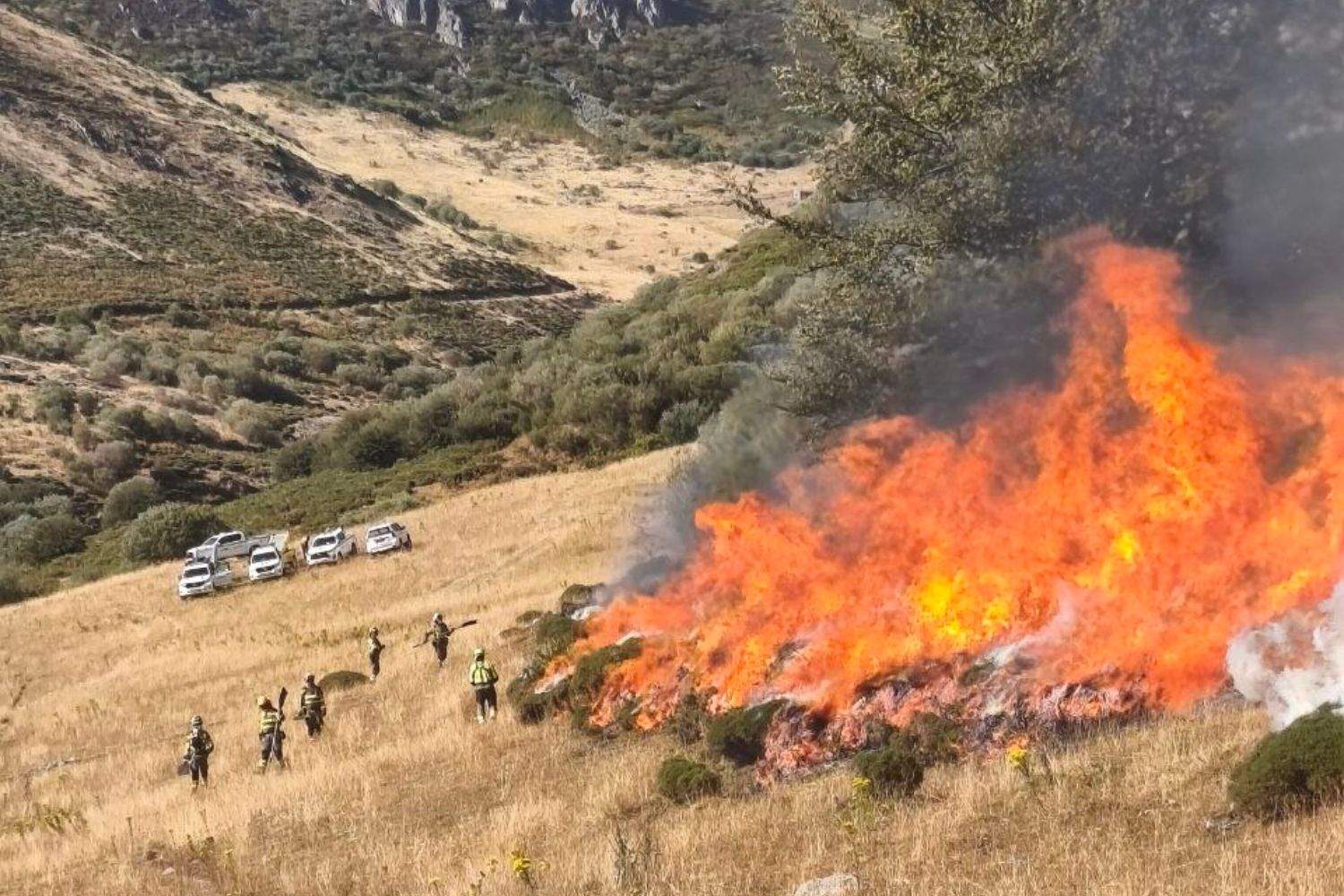 Incendio forestal en La Uña | INFOAR