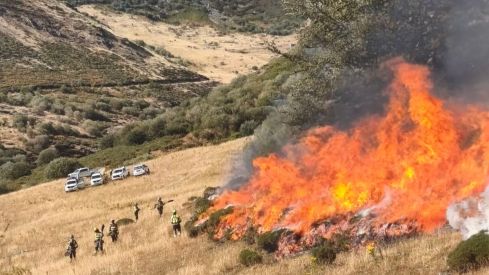 Incendio forestal en La Uña | INFOAR