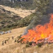 Incendio forestal en La Uña | INFOAR