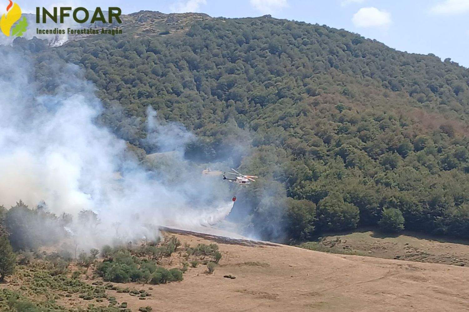 if la uña INFOAR if la uña INFOAR