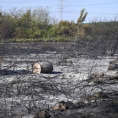 Ecologistas en Acción alerta del "grave riesgo" de contaminación de los acuíferos en León tras los incendios