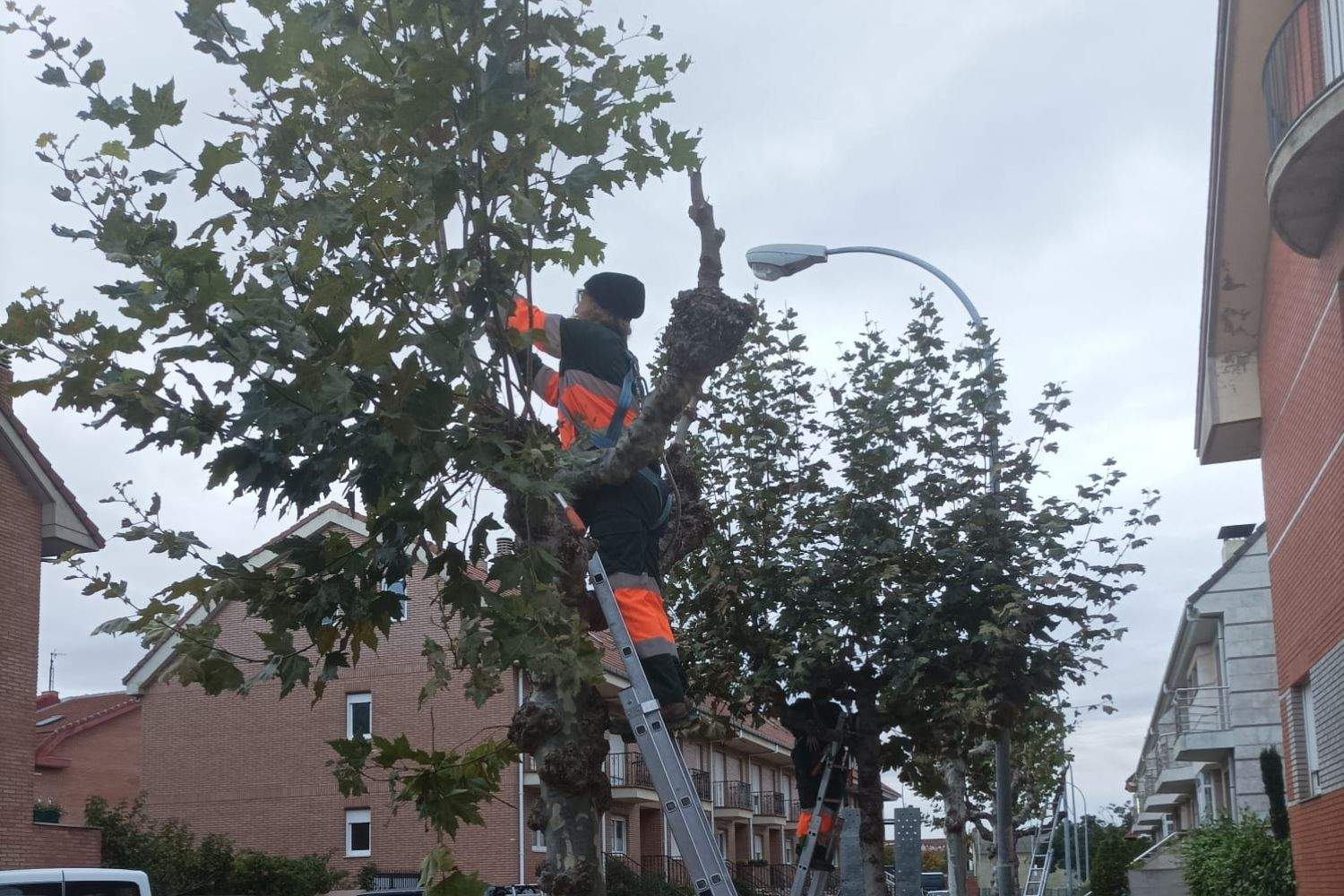 El empleo en la provincia de León crece un 2,6% llegando hasta los 122.000 asalariados