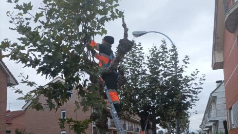 El empleo en la provincia de León crece un 2,6% llegando hasta los 122.000 asalariados