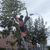 El empleo en la provincia de León crece un 2,6% llegando hasta los 122.000 asalariados