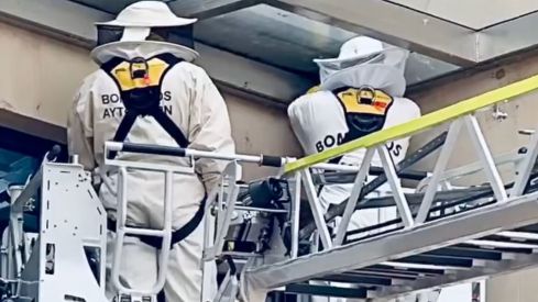 Los Bomberos de León retiran un nido de avispas en la parroquia de Nuestra Señora del Rosario 