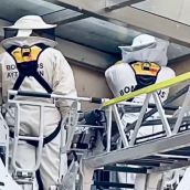 Los Bomberos de León retiran un nido de avispas en la parroquia de Nuestra Señora del Rosario 