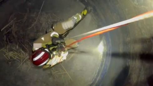 Los Bomberos de León rescatan a un animal atrapado en el pozo de una fábrica abandonada en San Andrés del Rabanedo