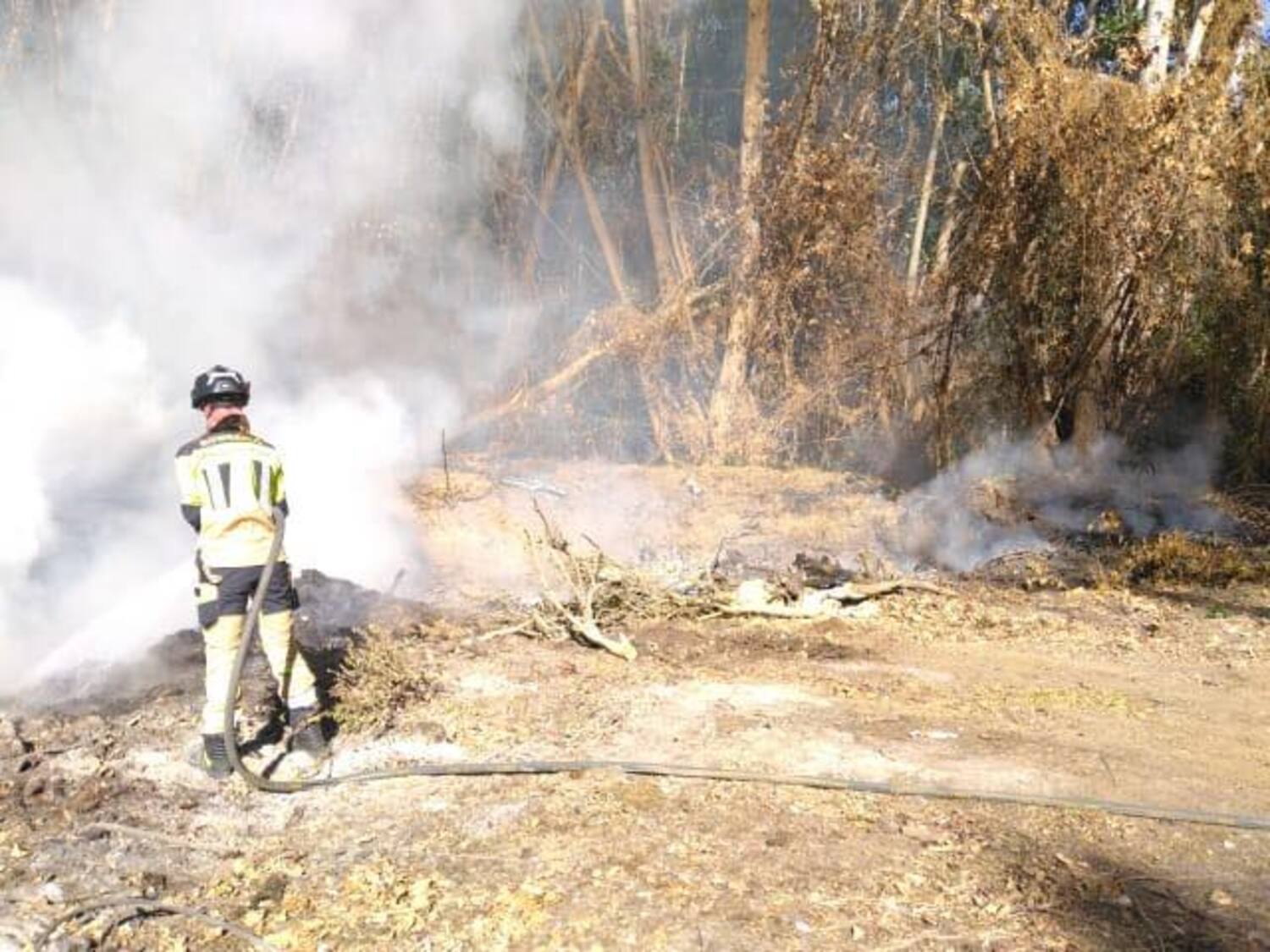 544817144 1108616031459314 8706970491037429266 n