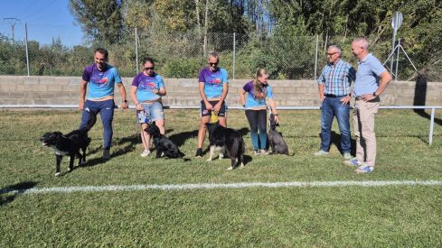 Villaobispo acoge el I Open Ayuntamiento de Villaquilambre de Agility con un centenar de equipos