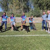 Villaobispo acoge el I Open Ayuntamiento de Villaquilambre de Agility con un centenar de equipos