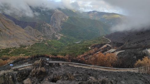 Seis investigadores de la ULE abordan desde la ciencia los incendios forestales de la provincia de León