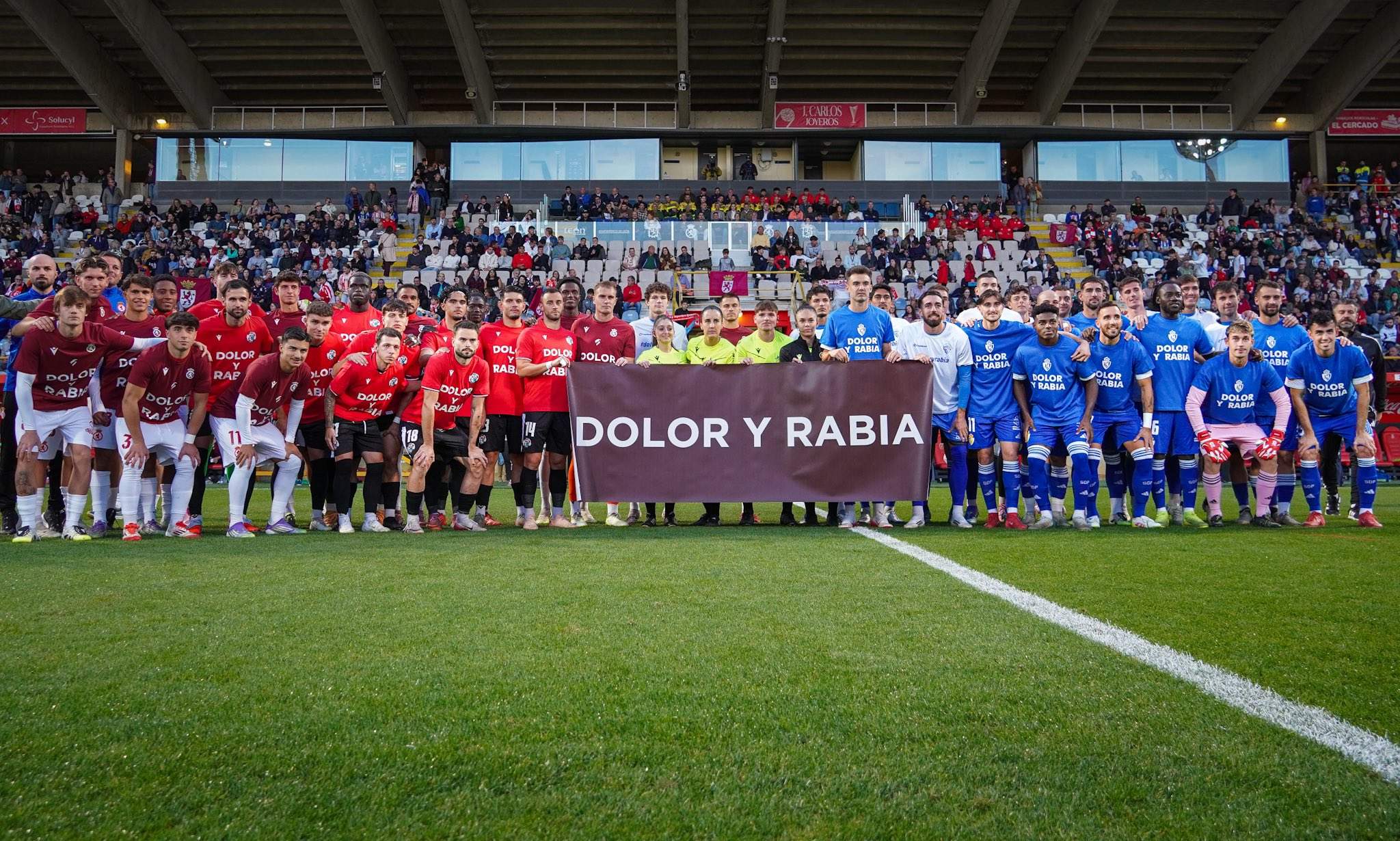Partido Dolor y Rabia por los incendios