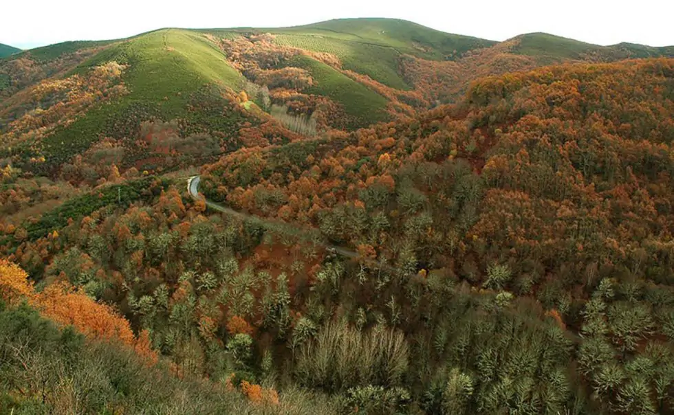 Reserva biosfera ancares leoneses