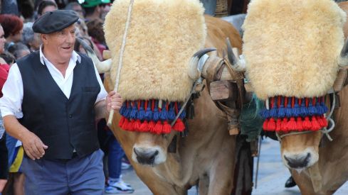 Carros Engalanados en las Fiestas de San Froilán de León | José Martín