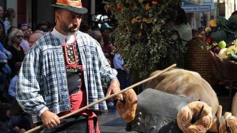 Carros Engalanados en las Fiestas de San Froilán de León | José Martín