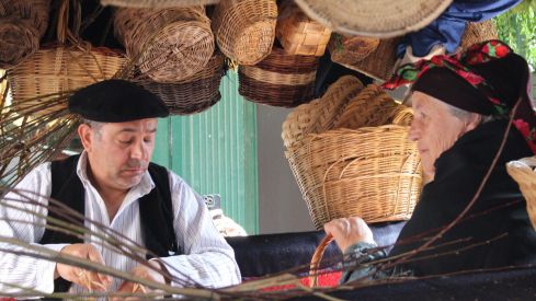 Carros Engalanados en las Fiestas de San Froilán de León | José Martín