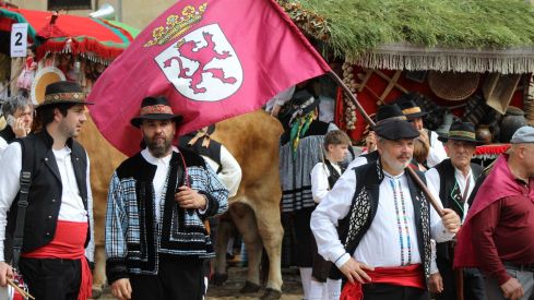 Carros Engalanados en las Fiestas de San Froilán de León | José Martín