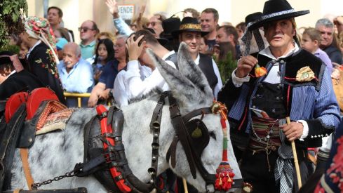 Carros Engalanados en las Fiestas de San Froilán de León | José Martín