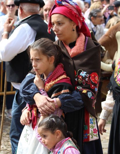 Carros Engalanados en las Fiestas de San Froilán de León | José Martín