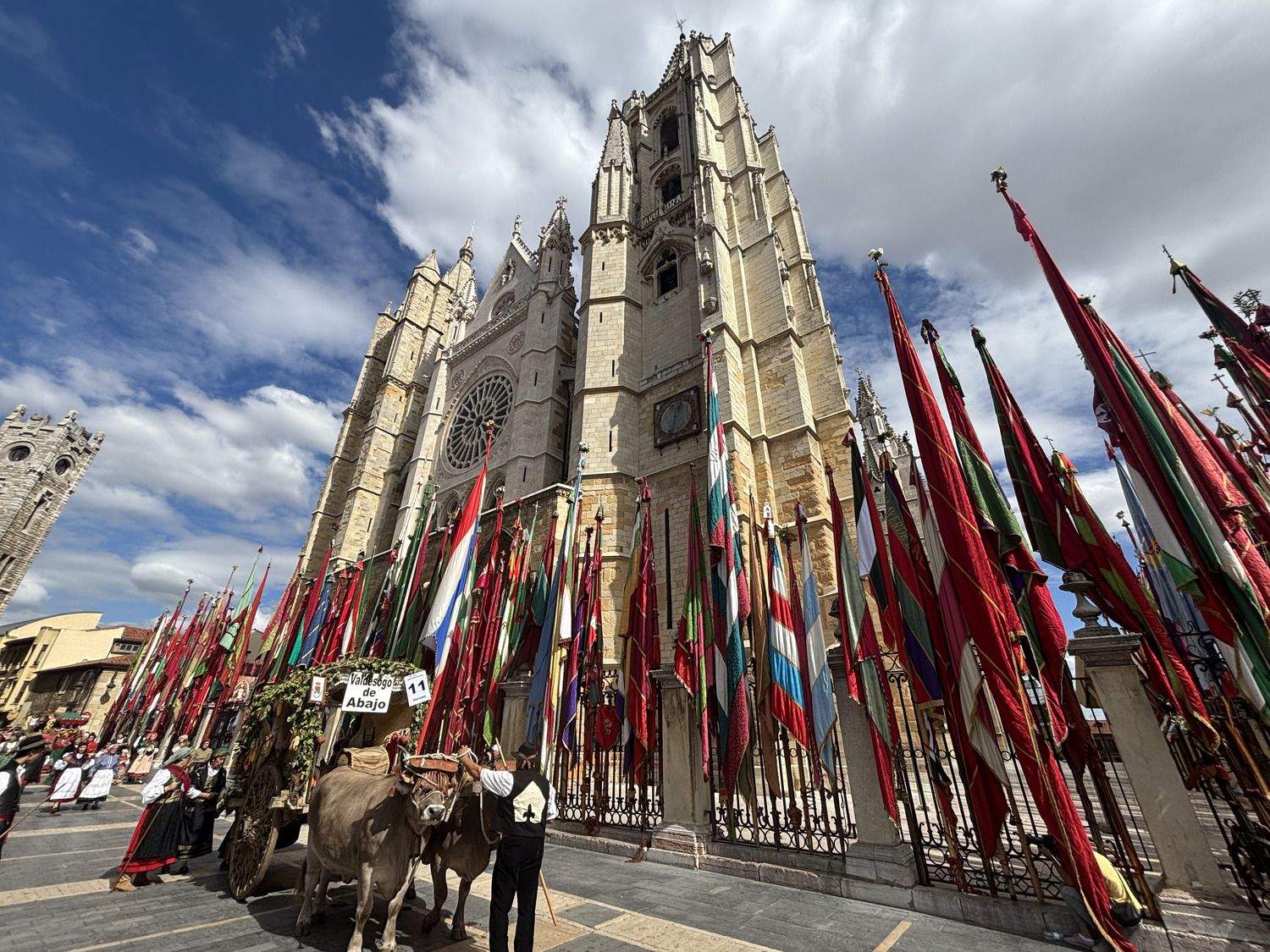 Carros Engalanados en las Fiestas de San Froilán de León | José Martín