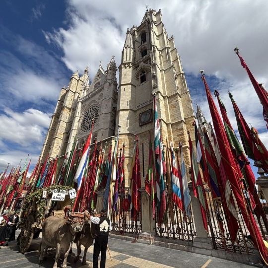 De los concejos a las calles de León: La historia que cuentan las fiestas de San Froilán | José Martín