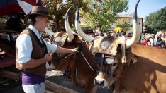 Trobajo del Camino recupera su carro engalanado para San Froilán y la romería de La Virgen del Camino | Peio García / ICAL Trobajo del Camino recupera su carro engalanado para San Froilán y la romería de La Virgen del Camino | Peio García / ICAL