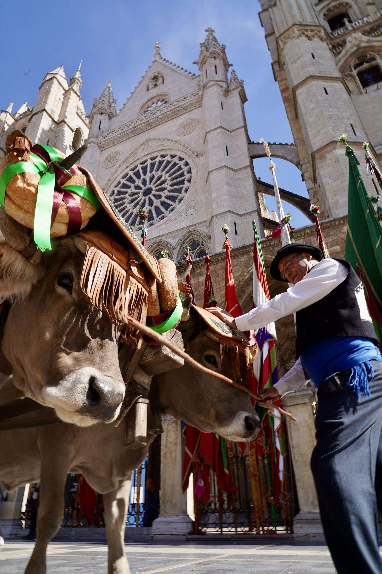 Desfile de Pendones Concejiles en las Fiestas de San Froilán de León | Campillo / ICAL