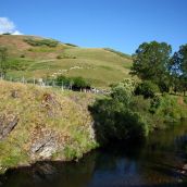 El río Esla a su paso por La Uña (León) | La CHD destina 5M€ para la protección ambiental de los ríos afectados por los incendios | Eduardo Margareto / ICAL