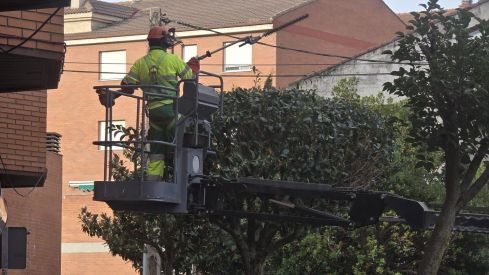 La Bañeza refuerza el mantenimiento de sus zonas verdes