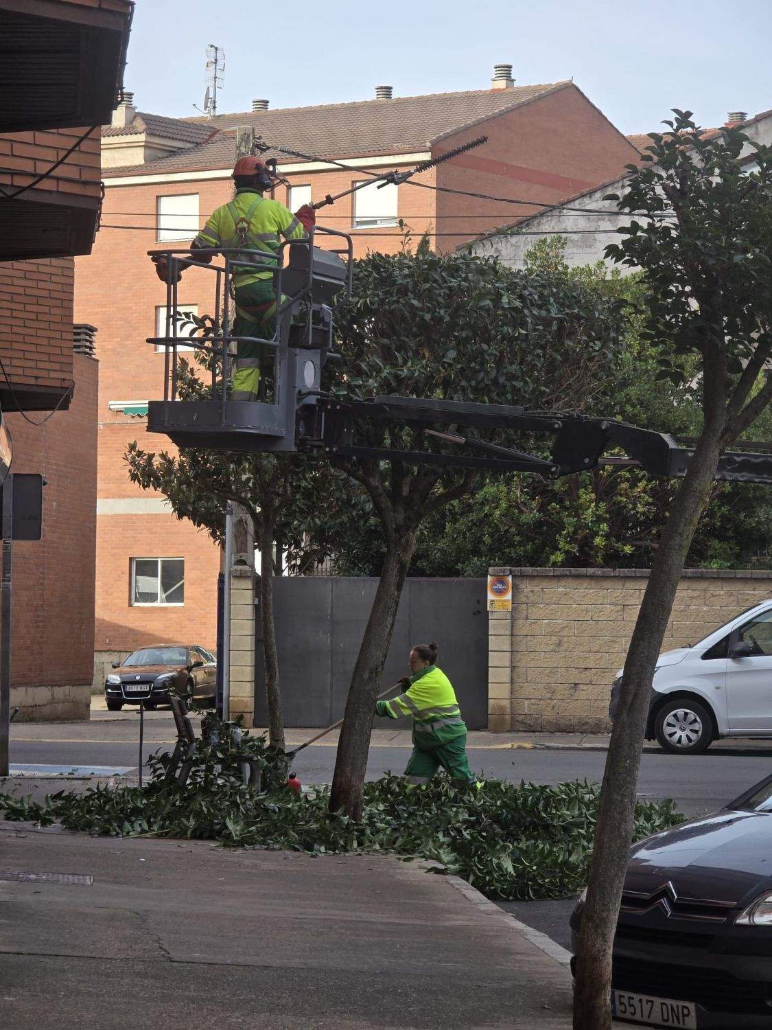 Poda arboles en la bañeza Poda arboles en la bañeza