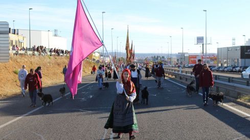 Romería de San Froilán 2025 (14)