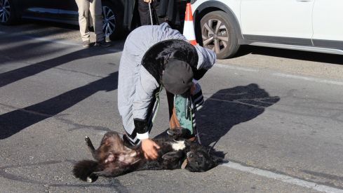 Romería de San Froilán 2025 (39)