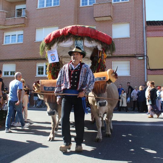La Romería de San Froilán vuelve a llenar La Virgen del Camino de tradición: Todo lo que debes saber para el 5 de octubre La Romería de San Froilán vuelve a llenar La Virgen del Camino de tradición: Todo lo que debes saber para el 5 de octubre