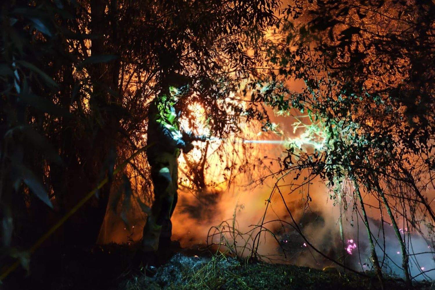 Los Bomberos de la Diputación sofocan dos incendios durante la noche | Diputación de León Los Bomberos de la Diputación sofocan dos incendios durante la noche | Diputación de León