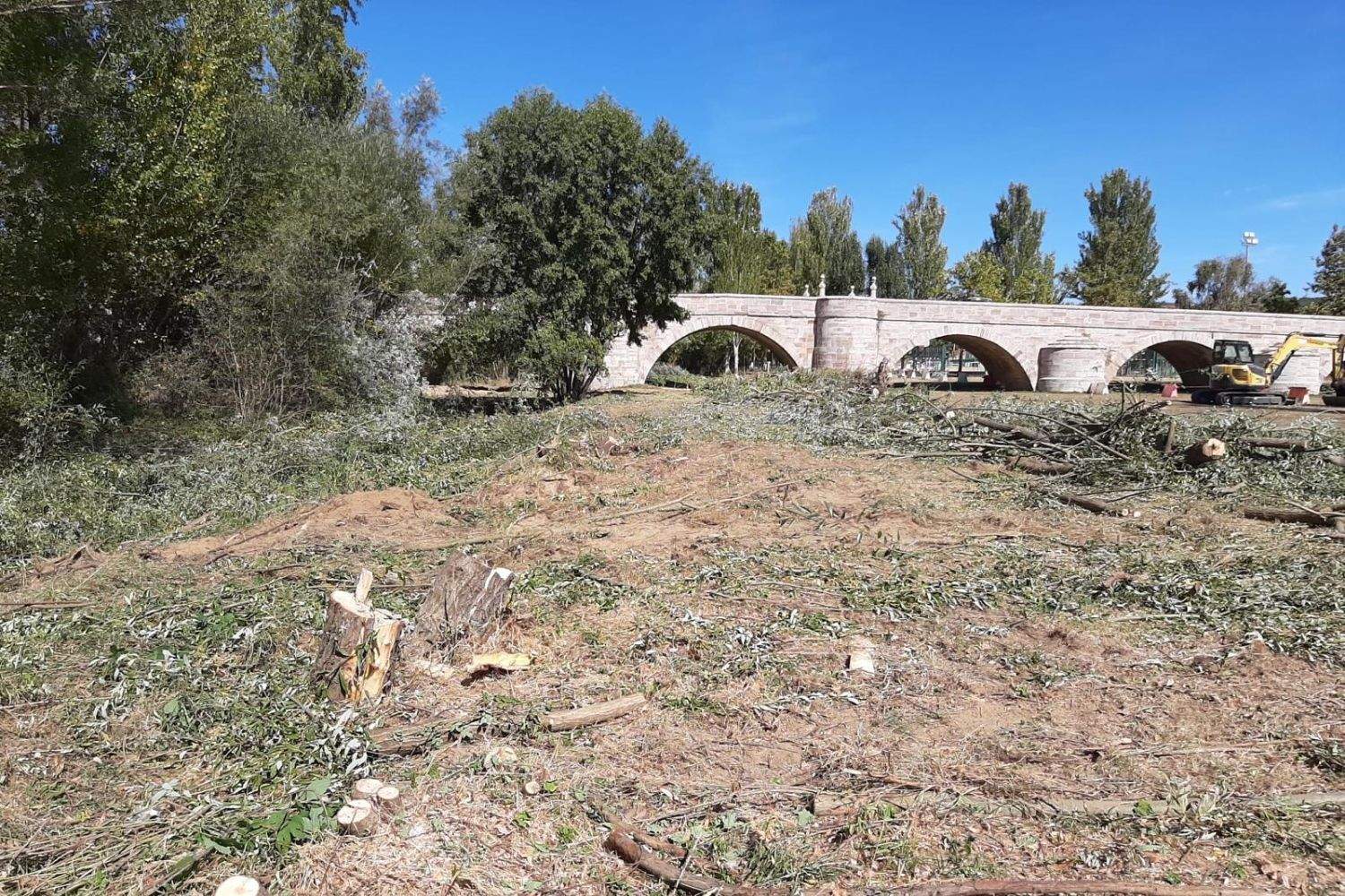 Ecologistas en Acción exige al Ayuntamiento de León que paralice la “destrucción” de la ribera del río Torio a la altura de Puente Castro