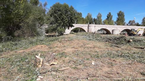 Ecologistas en Acción exige al Ayuntamiento de León que paralice la “destrucción” de la ribera del río Torio a la altura de Puente Castro